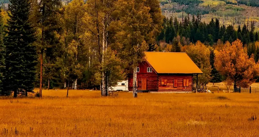 brush cutting tools to prevent wildfires