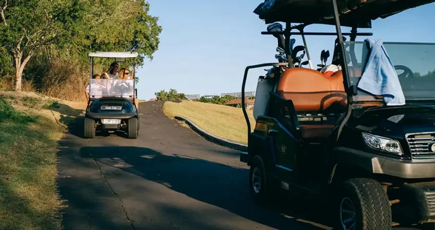 golf cart repair business